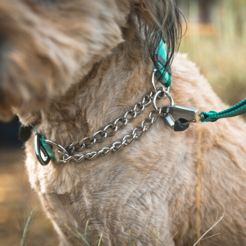 Ruffwear Chain Reaction Collar