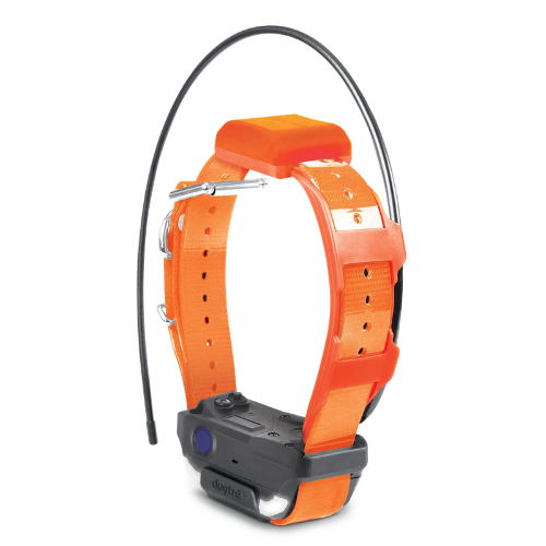 Replacement/Additional  Collar