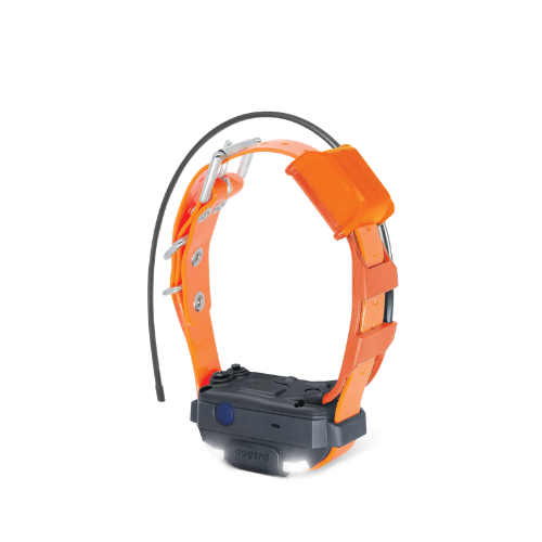 Replacement/Additional  Collar