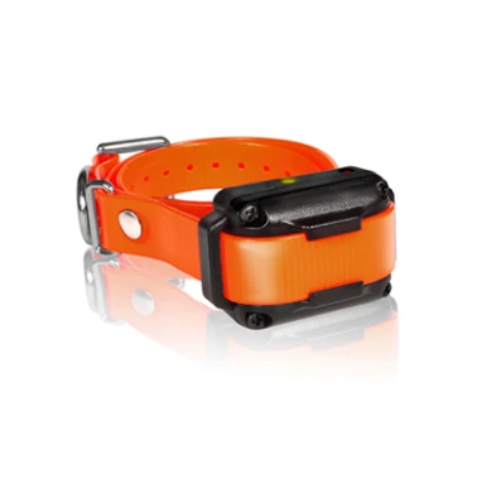 Replacement/Additional  Collar