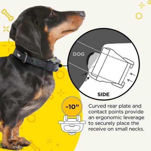 Dogtra IQ Mini