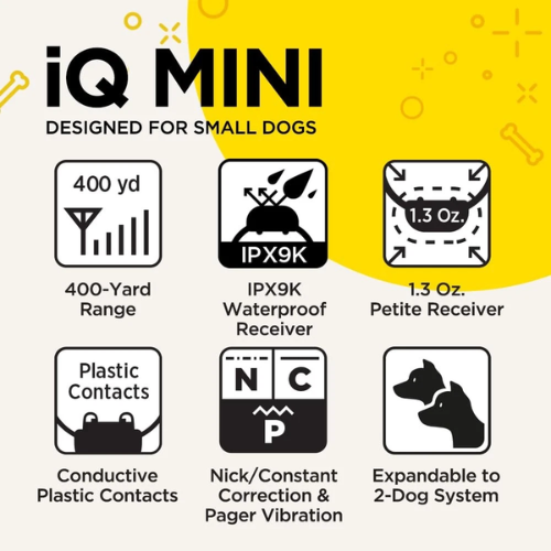 Dogtra IQ Mini