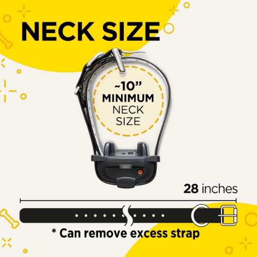 Dogtra IQ Mini