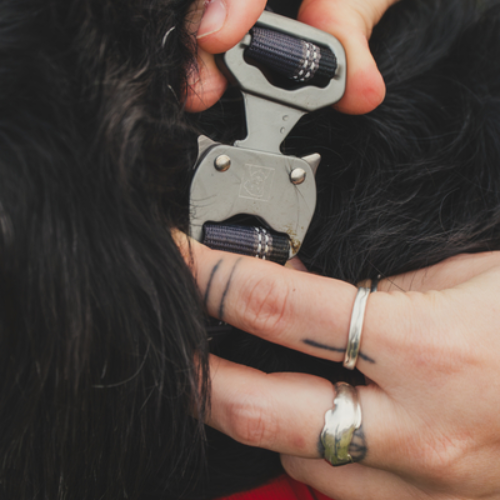 Ruffwear Top Rope Collar