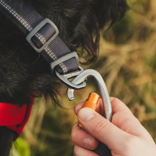 Ruffwear Top Rope Collar
