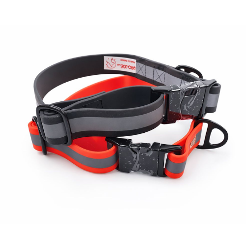 FlashX Collar with Reflective Stripe – 25 mm