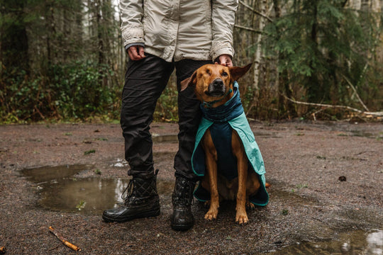 Ruffwear Dirtbag Dog Towel