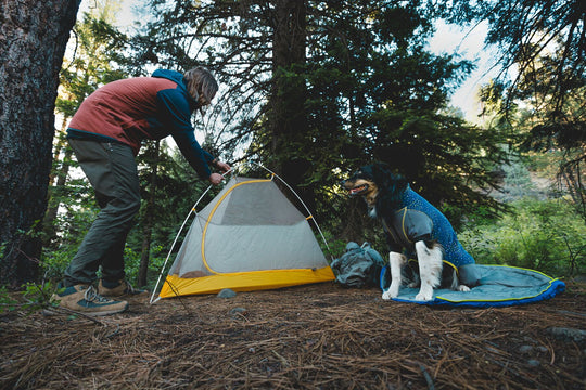 Ruffwear Climate Changer Coverall