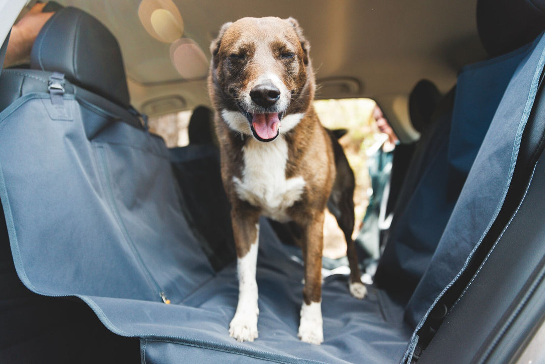 Ruffwear dirtbag Seat Cover