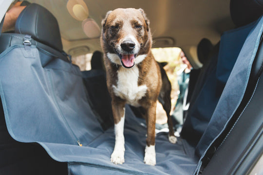Ruffwear dirtbag Seat Cover