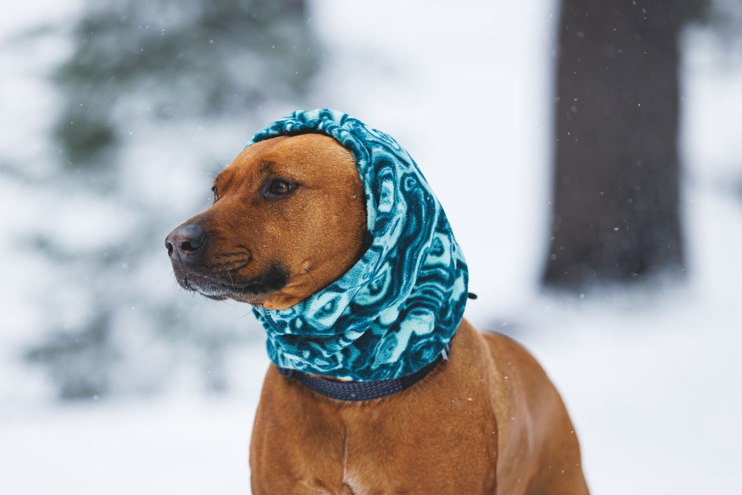 Ruffwear Mt. Hoodie Warming Neck Gaiter