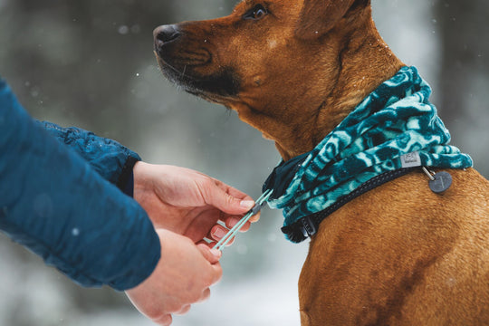 Ruffwear Mt. Hoodie Warming Neck Gaiter