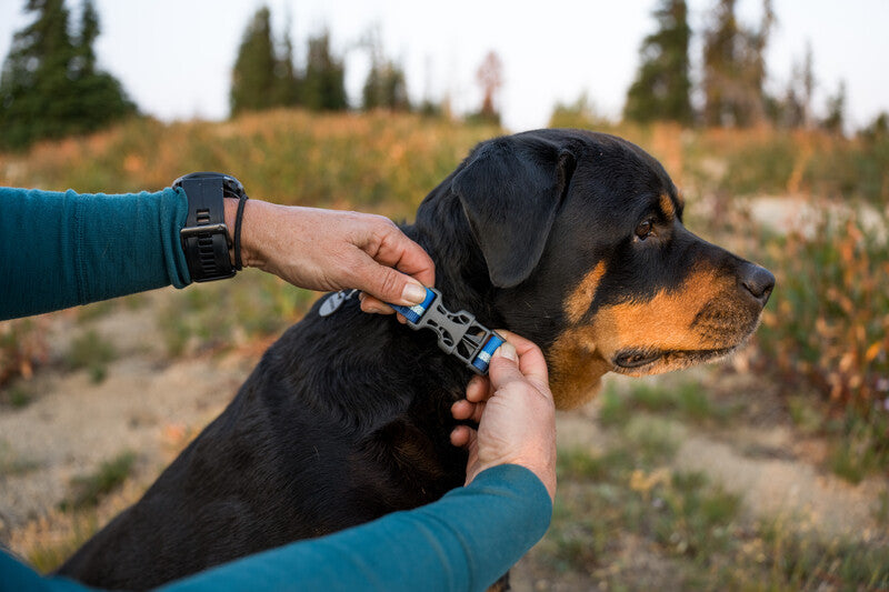 Ruffwear Web Reaction Collar