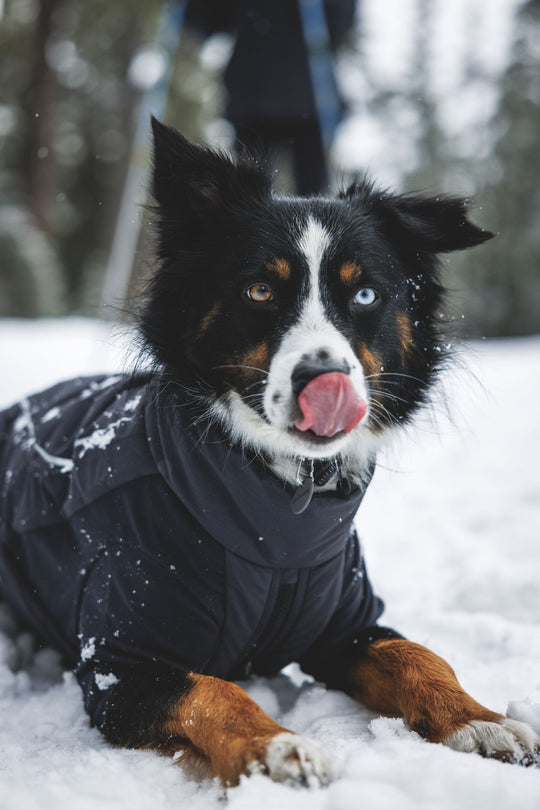 Ruffwear Powder Hound Waterproof Insulated Coverall