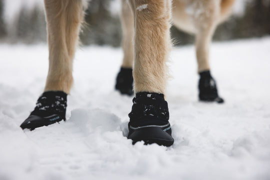 Ruffwear Polar Trex Winter Boots