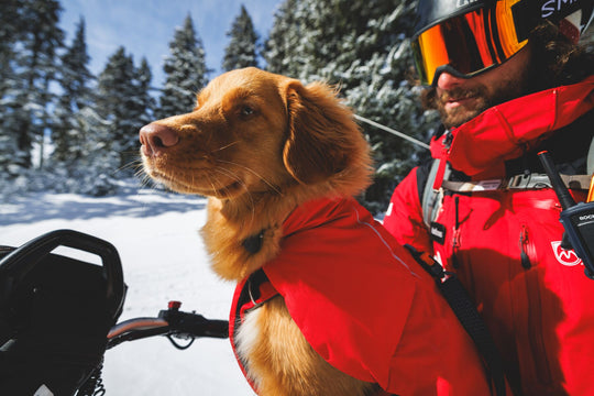Ruffwear Powder Hound Waterproof Insulated Vest