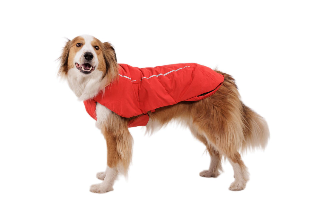 Ruffwear Powder Hound Waterproof Insulated Vest