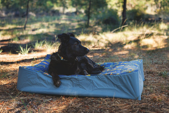 Mt EverRest Dog Bed