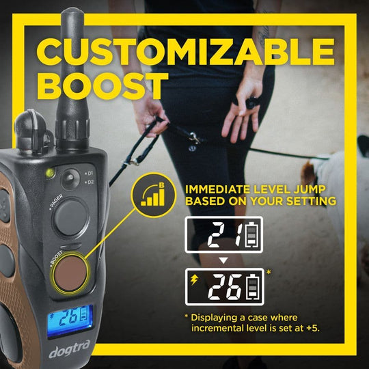 ARC 800 Handsfree Plus B & L