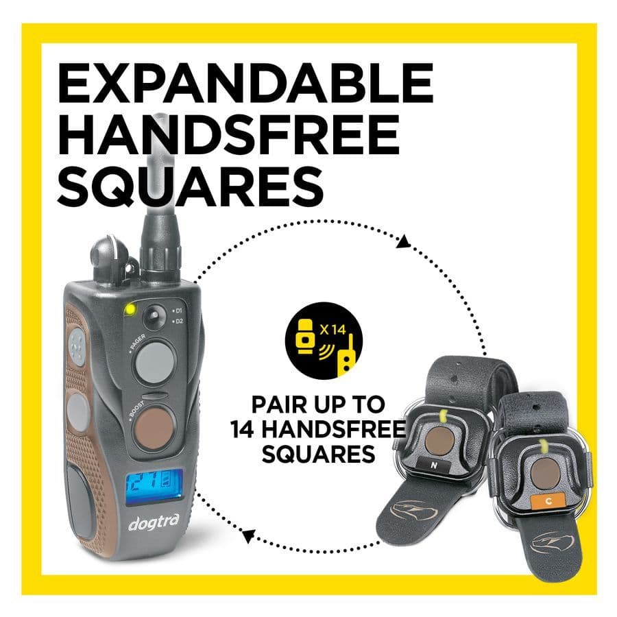 ARC 800 Handsfree Plus B & L