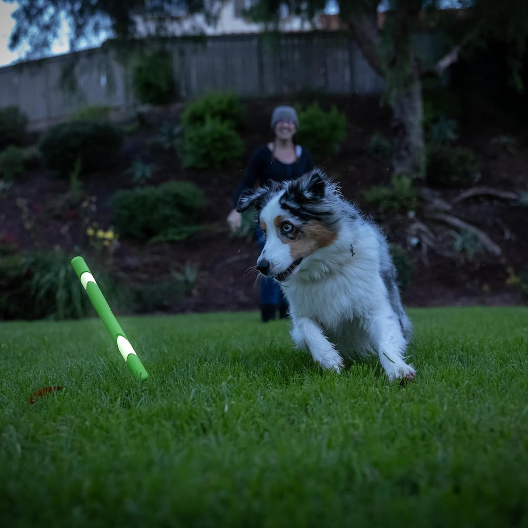 Chuckit Max Glow ultra Fetch Stick