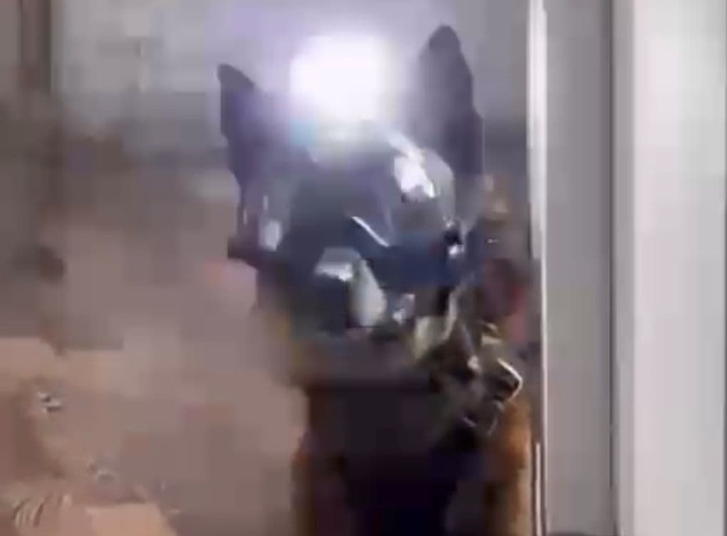 Dark Systems Strobe Light (Helmet Not Included) POA
