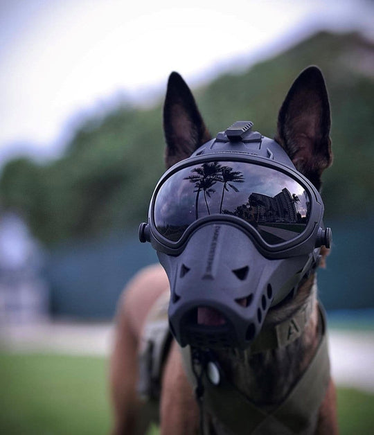 DarkSystems K9 Helmet Full System POA