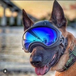 DarkSystems K9 Helmet Full System POA