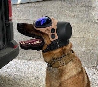 DarkSystems K9 Helmet Full System POA