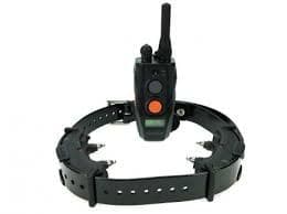 Dogtra ARC 800-Twin Block