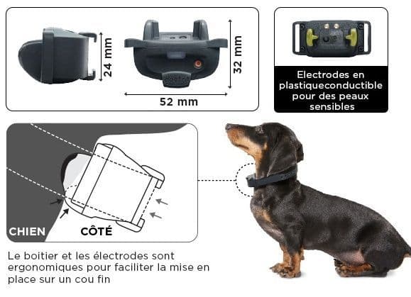 Dogtra IQ Mini