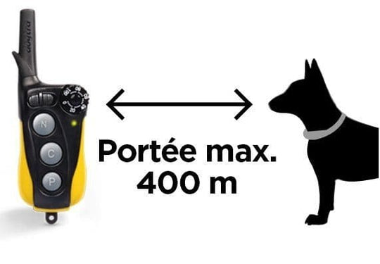 Dogtra IQ Mini