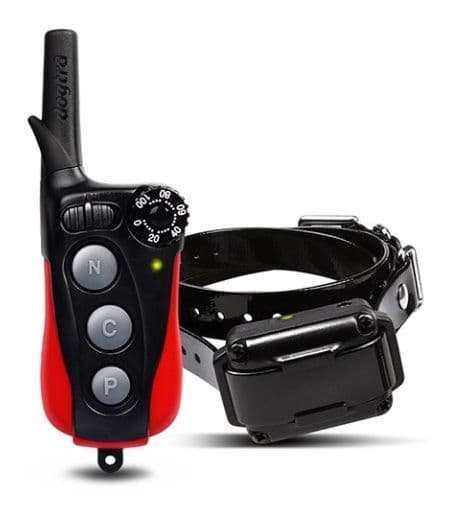 Dogtra IQ Plus