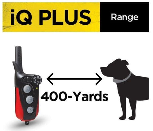 Dogtra IQ Plus