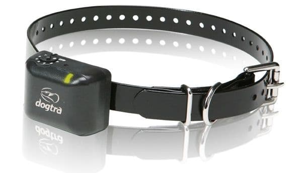 Dogtra YS300 No Bark Collar