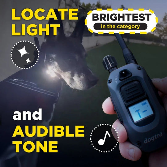 Dogtra 640X