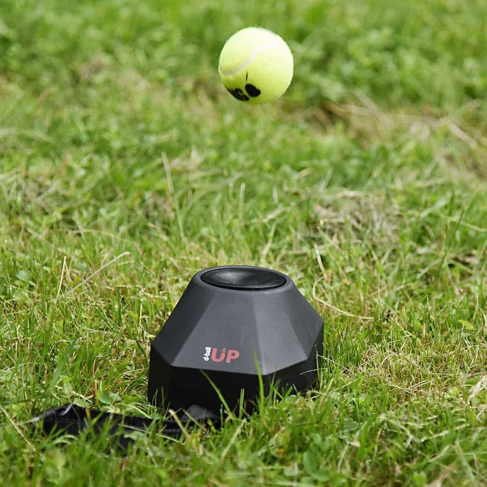 Dogtrace D-Ball-Up