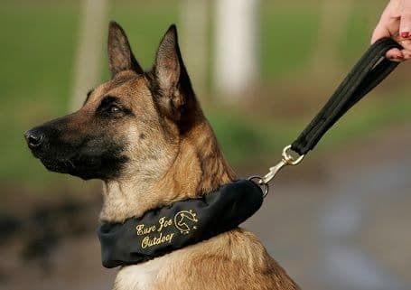E-Collar Cover