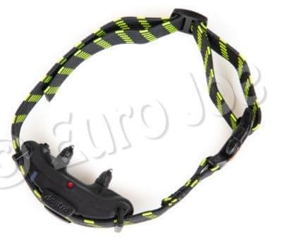 Electric Collar Elastic