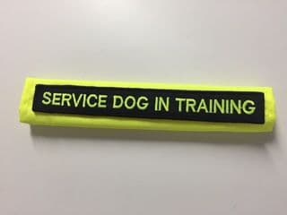 Hi-Vis Lead Cover