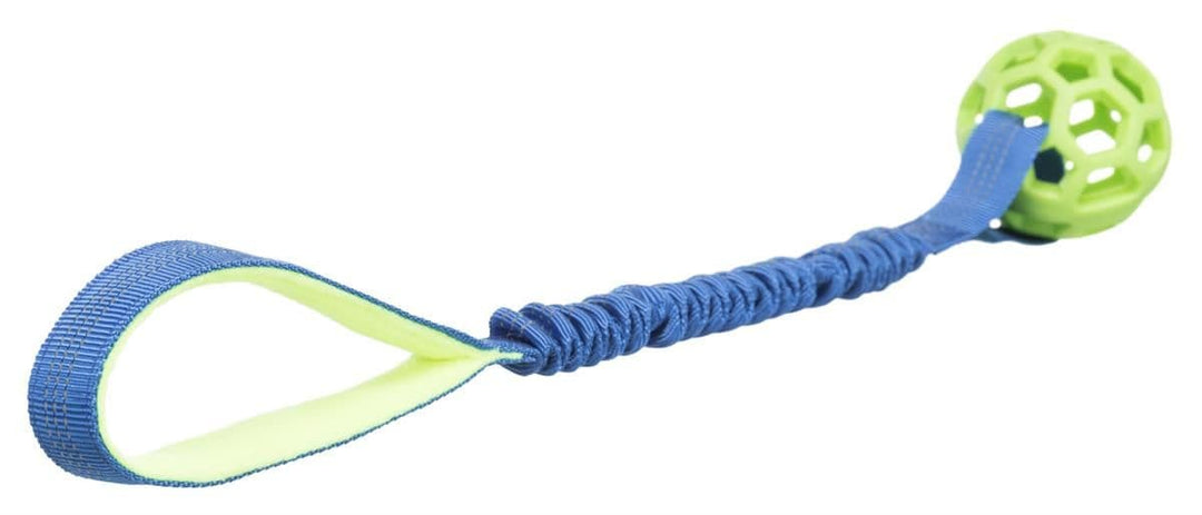Hol-ee Roller with Bungee