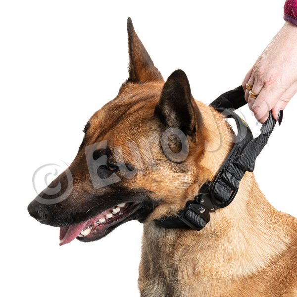 Iron Power Collar
