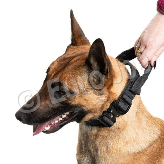 Iron Power Collar
