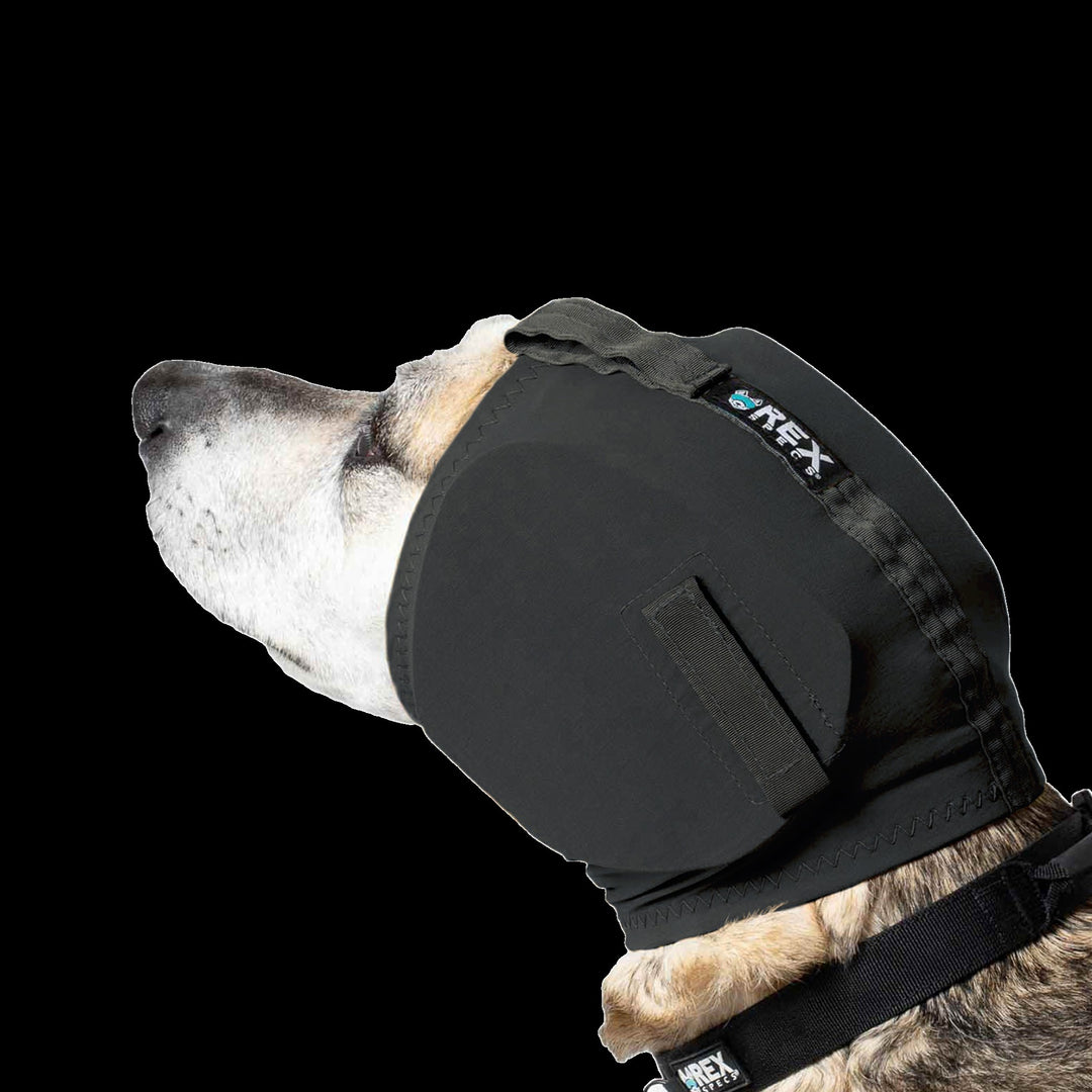 Rex Specs Ear Pro