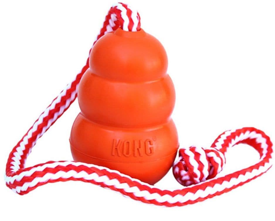 KONG Aqua on Rope