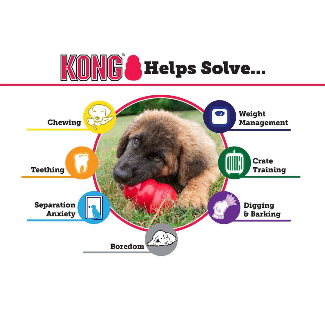 KONG Aqua on Rope
