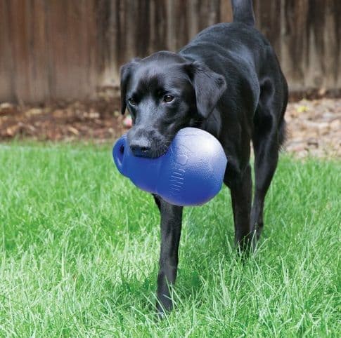 KONG Bounzer Ultra