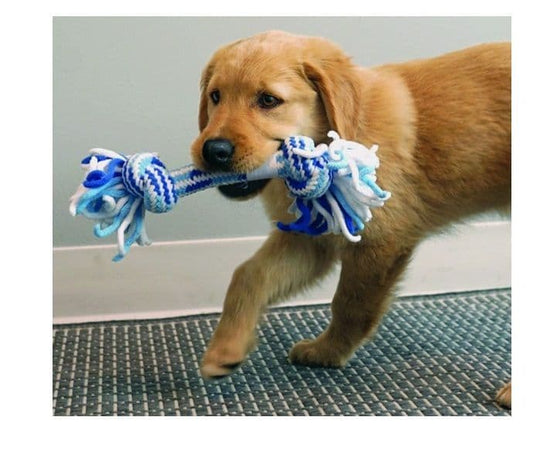 KONG Rope Stick Puppy - Medium