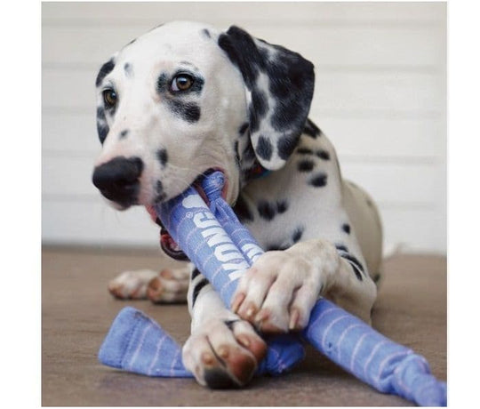 KONG Signature Crunch Rope Single Puppy