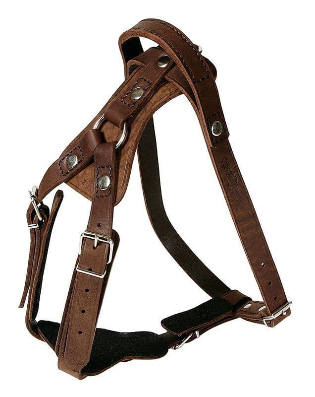 Leather Agitation Harness